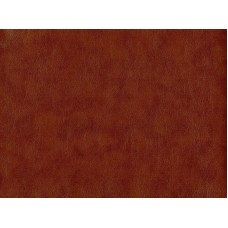 Кожзам Родео 02